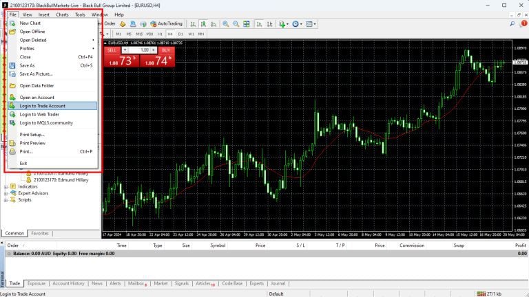 How to log into your MetaTrader 4 (MT4) account? | BlackBull Markets