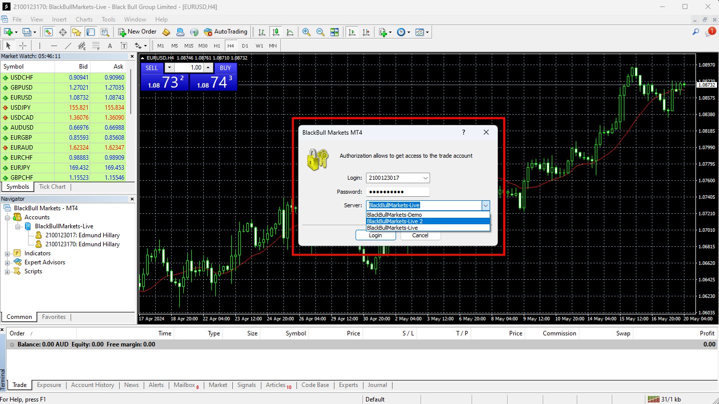 How to log into your MetaTrader 4 (MT4) account? | BlackBull Markets